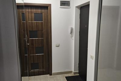 Apartament cu 2 camere decomandat, mobilat în Lujerului - 5