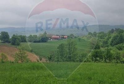 Teren Construcții intravilan de 2723 mp, în Bratca - 2