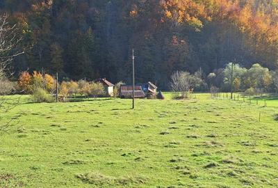 Casa de vanzare Reme?i - 4