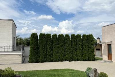 Casă individuală cu 4 camere cu Teren 1000 Mp în Șelimbăr - 3