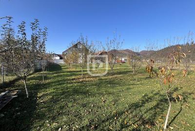 Casă individuală cu 3 camere cu Teren 1481 Mp în Bucșoaia - 11