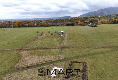 Teren  extravilan 2200 mp in Orlat - 3