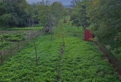 Casa noua P+1 curte si teren zona Streisangeorgiu - 11