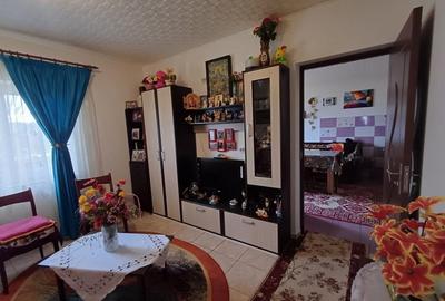 Casa 3 Camere, beci, magazie, mansarda - 500 mp Teren - 6