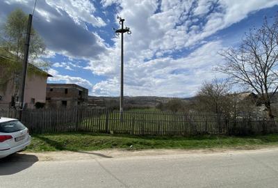Teren în Pruni - 13