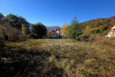 Casă individuală cu 5 camere cu Teren 2700 Mp în Alexandru cel Bun - 45