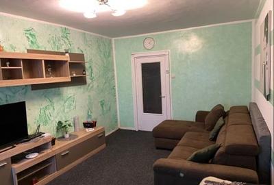 Casă cu 2 camere în Botiz - 8