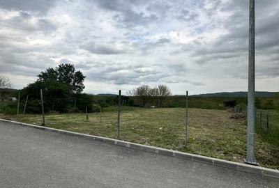 Teren Construcții intravilan de 1000 mp, în Ostroveni - 5