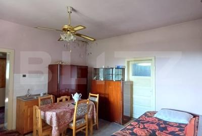 Casa renovabila cu 11508 mp teren, in Copaceni - 8