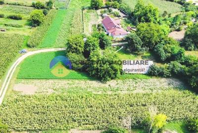 TEREN intravilan GIROV  4133 mp - 2