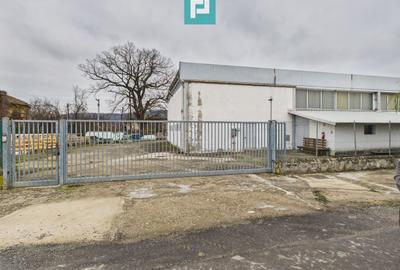 Hală cu teren intravilan de 3500 mp, în Sebiș Arad - 2