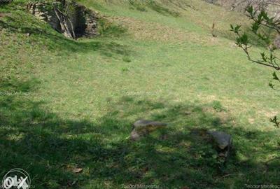 Spațiu comercial, în Măneciu - 3