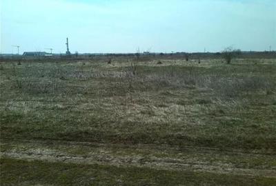 Teren de 600 mp, în Balotești