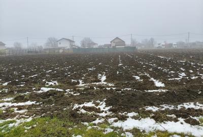 Teren Construcții intravilan de 1500 mp, în Moara Vlăsiei