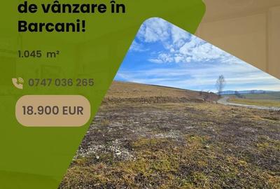 Spațiu comercial, în Barcani - 3