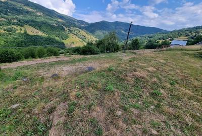 Teren de 1600 mp, în Gilău - 6