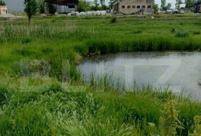 Teren intravilan in spatele Peugeot, 3600mp, 11m deschidere - 6