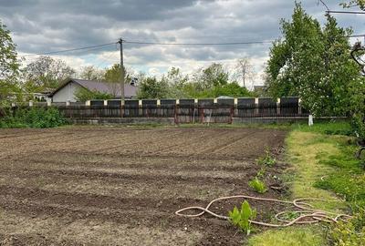 Casă cu 3 camere cu Teren 1000 Mp în Corbii Mari - 9