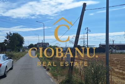 Teren intravilan de vanzare in Isalnita - 7