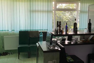 Vila individuala,casuta auxiliara si curte mare - 5