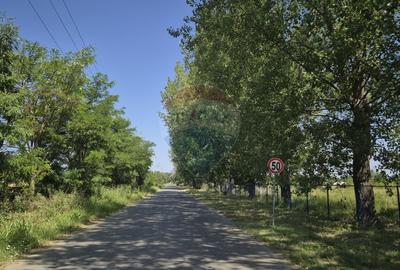 Teren de vanzare Clinceni, Ordoreanu