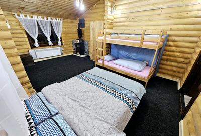 1140mp si cabana Obarsia Lotrului Transalplina 3km partia ski, TOATE UTILITATILE - 13
