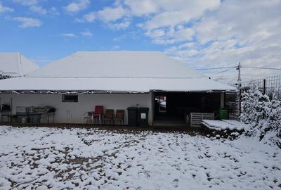 Spatiu comercial cu o suprafata de 150 mp, Suplacu de Tinca, Bihor - 3