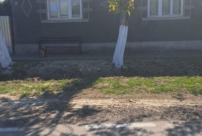 Casă cu 3 camere în Cermei - 2