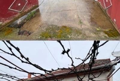 Casă individuală cu 3 camere cu Teren 2319 Mp în Sacoșu Mare - 1