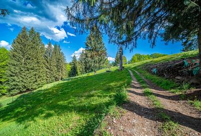 Teren intravilan cu potential turistic si de agrement, zona Trei Brazi - 21