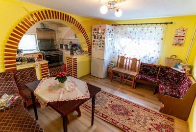 Casa / Vila de vanzare in Cristur jud.Hunedoara - 17