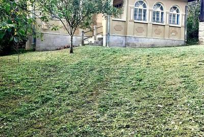 Casă cu 3 camere cu Teren 3800 Mp în Dobrin - 1