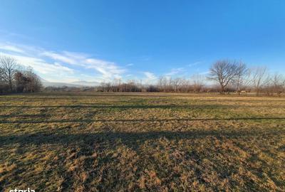 Spațiu comercial, în Bran - 4