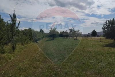 Teren de vanzare in Tautii-Magheraus / Strada 66 - 4