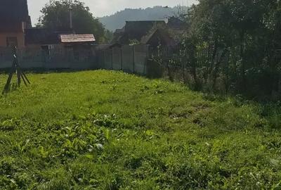 Casă cu 3 camere în Săliște - 10