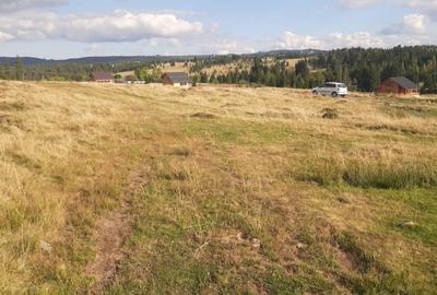 Teren de 1000 mp, în Beliș - 2