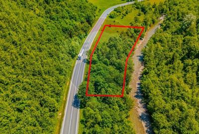 Teren intravilan de 3750 mp, în Brădet - 4