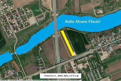 Particular - Moara Vlasiei, 5.044 mp. teren intravilanin zona Mixta cu acces din DJ - 2