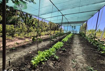 Casă cu 5 camere cu Teren 3024 Mp în Popricani - 2