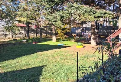 Apartament cu 3 camere decomandat în Snagov - 1