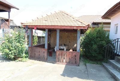 Casă cu 6 camere cu Teren 5755 Mp în Iași-Gorj - 1