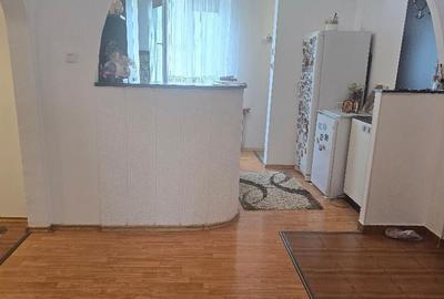 Vand apartament 3 camere decomandat Deva, Progresul, 75 mp, mobilat - 6