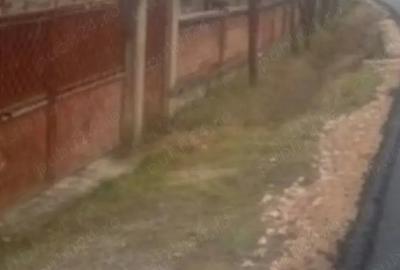 Casa de vinzare Deusu - 4