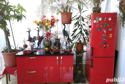 Casă cu 13 camere cu Teren 1410 Mp în Dumbrăvița - 6