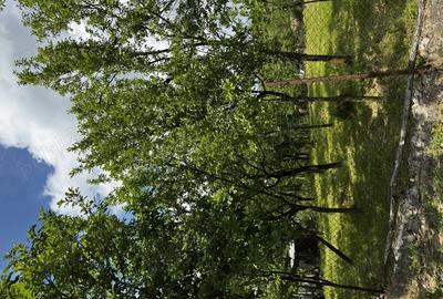 Casă cu 3 camere în Sânmărghita - 2