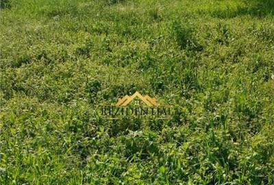 TEREN INTRAVILAN - TULBURENI - 1