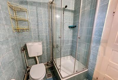 Casa individuala de vanzare, 500 mp teren, zona Someseni Casa individuala de vanzare, 500 mp teren, zona Someseni - 8