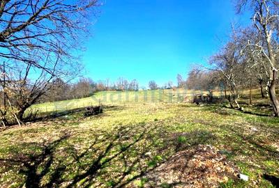 Casă individuală cu 4 camere cu Canalizare în Coșdeni - 2