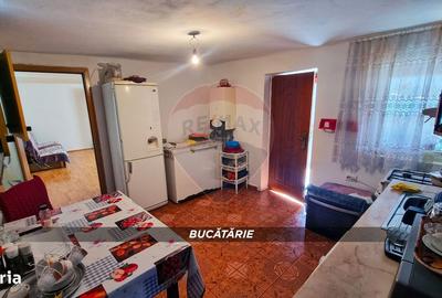 Casă cu 3 camere cu Teren 3724 Mp în Apa - 16