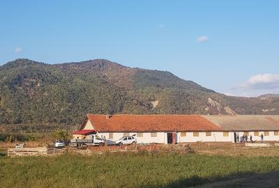 In Cislau teren intravilan parcelabil 500- 1000 mp 16 euro mp. - 1